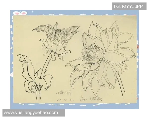 徐昕的艺术之路与人生哲学探索：从创作到生活的深刻思考与启示